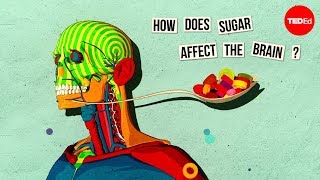 How sugar affects the brain  Nicole Avena [upl. by Walford485]