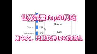 打破信息差，第一步该怎么做？沉浸式翻译 [upl. by Tildi]