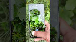 motorola g45 5G 50Megapixel Camera Review natural Camera smartphone viralshort shorts 2024 [upl. by Sybilla312]