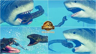 MEGALODON VS TITANOBOA AND OTHER MARINE REPTILES HALLOWEEN MOD  JURASSIC WORLD EVOLUTION 2 [upl. by Kilbride301]