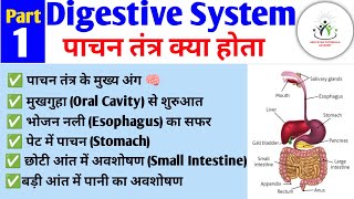 Digestive System in hindi  पाचन तंत्र  Organs of Digestive System  Oral Cavity [upl. by Eicaj]