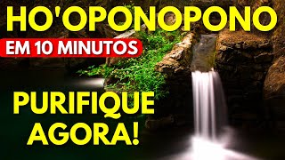 HOOPONOPONO EM 10 MINUTOS  PARA LIMPAR MEMÓRIAS DE ESCASSEZ [upl. by Reifinnej381]