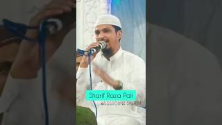 Unki Mahak Ne Dil Ke  Sharif Raza Pali  sharifpali naat [upl. by Borreri]