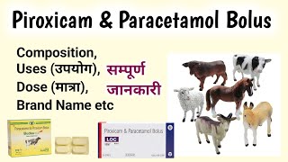 Piroxicam amp Paracetamol Bolus [upl. by Ajet665]