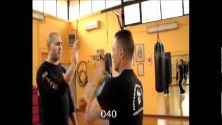 Wing Chun High skill Natural Fighting [upl. by Etnoled]