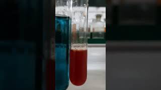 Liebermanns test for phenol chemistry practical class12 [upl. by Ahsito861]