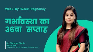 36th Week Pregnancy  ३६वें सप्ताह की गर्भावस्था  Pregnancy week by week  DrShivani Shah [upl. by Allemap996]