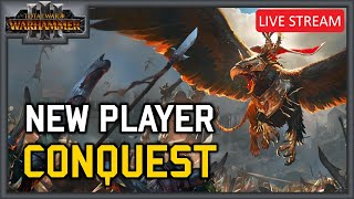 RTKs New Player Conquest Tournament  Tournament Stream  Total War Warhammer 3 Multiplayer [upl. by Nereus]