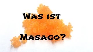 Was ist Masago Herstellung Geschmack Verwendung amp Tipps  Zutaten für Sushi [upl. by Barnaby]