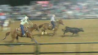 Jim Smith rodeo cow chasing part 7 of 18  51124 [upl. by Muiram]