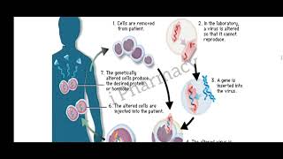 Gene Therapy  Types of Gene Therapy  Part 02 [upl. by Braeunig]