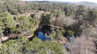 Bystock Pools and Squabmoor Reservoir Woodbury Common Devon 4k Drone Footage [upl. by Keverian]