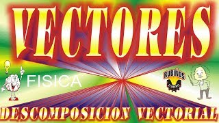 Vectores  Descomposición Vectorial  Teoría y Ejercicios Resueltos de física [upl. by Aret]