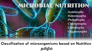 Classification of Microorganisms based on Nutritional requirements  Microbial Nutrition  Tamil [upl. by Nirel]