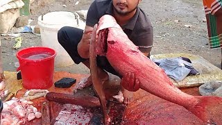 big wicket fish kasimeduselvam fishcuttingskills amazing fish cutting banglafishing viral fish [upl. by Asyl]