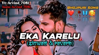 Eka KareluSlowedampReverb🥰 New Bhojpuri songs Khesari lal yadav songsshortsbhojpurikhesarilal [upl. by Odlopoel]