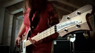 The Sword  How Heavy This Axe  Bass Cover [upl. by Luci]