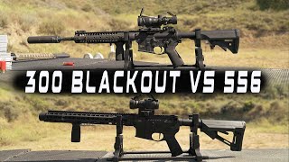 300 Blackout vs 556 [upl. by Sabas]