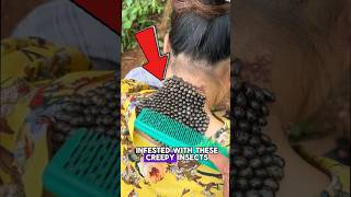 Do not watch if you have TRYPOPHOBIA ⚠️  scary insects animals nature wildlife [upl. by Ahsikrats]