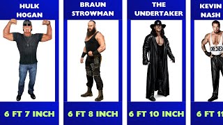 WWE Wrestlers and their Heights wwe height andrethegiant [upl. by Meghann]