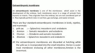 Extraembryonic membranes of chick [upl. by Leraj630]