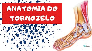 ANATOMIA DO TORNOZELO  osteologia ligamentos e articulações  FISIO EM MOVIMENTO [upl. by Iztim]