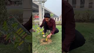 Planting 1 Lakh Trees 🌳 shortsfeed socialwork treeplanting [upl. by Anomer]