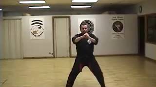 KENPO KARATE SHORT FORM 1 [upl. by Nue776]