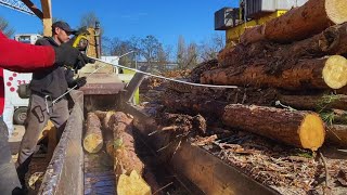 Sustainable Wood Chipping for Zero Waste Production [upl. by Siloam552]