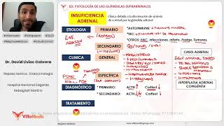 PATOLOGÍA DE LAS GLÁNDULAS SUPRARRENALES PARTE 2  ENDOCRINOLOGÍA  VILLAMEDIC [upl. by Sherrard903]