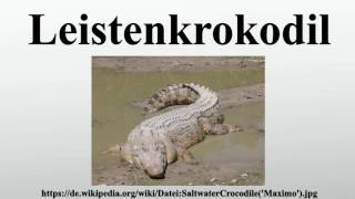 Leistenkrokodil [upl. by Shivers]