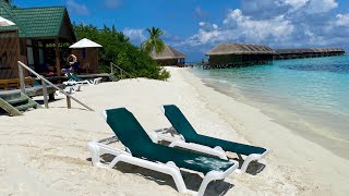 Maldives  Meeru island beach front villa tour [upl. by Lubin838]