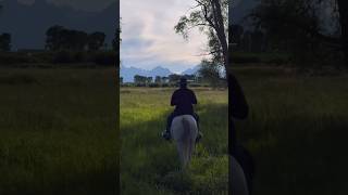 Come ride with us 🐎🏔️ horses mountain horseriding youtubeshorts shorts [upl. by Kubetz54]