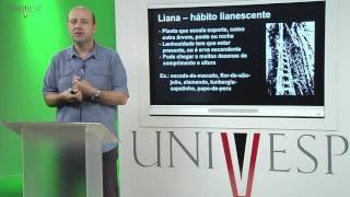 Morfologia Vegetal  Aula 03  Hábitos [upl. by Laucsap]