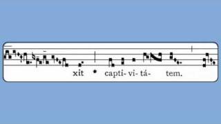 Alleluia Dominus in Sina Ascension [upl. by Yort]