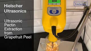 Pectin Extraction from Grapefruit Peel using the Sonicator UP200Ht pectin [upl. by Maximilien]