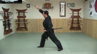 Katana 3  Nuki Sword Draws  Free Ninjutsu Lesson Online [upl. by Tronna]