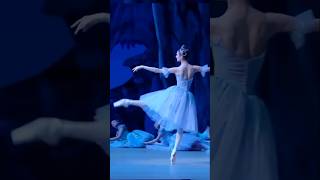 Svetlana Zakharova  バレエ balet ballett balletto ballet [upl. by Marolda481]