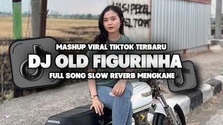 DJ OLD FIGURINHA FULL SONG SLOW REVERB MENGKANE VIRAL DI TIKTOK YANG KALIAN CARI [upl. by Lusty]