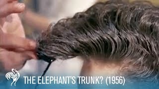 The Elephants Trunk 1950s Mens Hair Styles 1956  British Pathé [upl. by Leslie861]