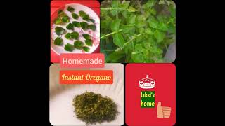 Homemade instant Oregano And its uses in Telugu with English subtitles 👍 [upl. by Hameean]