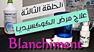 علاج مرض الكوكسيديا25 Baycox الحلقة 3️⃣ تبيض وتطهير الطيور blanchiment [upl. by Naamann791]