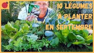 10 légumes à planter en septembre au potager [upl. by Thamora]