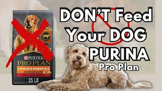 TikTok RUMORS Purina Dog Food Says It’s NOT True  January 2024 [upl. by Edny]