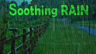 🎧 Fall Asleep with Soothing Rain Sounds  Ambient Noise For Sleeping Ultizzz day55 [upl. by Goldin998]