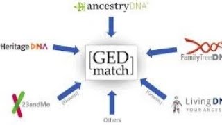 MY GEDMATCH ETHIOHELIX amp DODECAD PROJECT RESULTS USING MY 23 amp ME RAW DATA ETHIOPIAN JEW [upl. by Ahseyd]