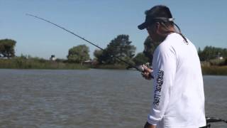 Large Delta Striper using Spoons  Jigging for striped bass [upl. by Buxton]