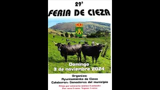 29ª Feria de Cieza 2024 [upl. by Eerot193]