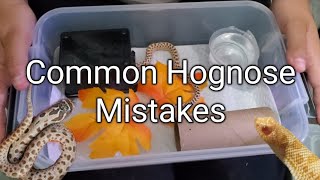 Common Hognose Mistakes [upl. by Merkle]