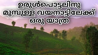 വയനാട് വഴി കാട്ടിലൂടെ wayanad travel mustwatch [upl. by Celesta]